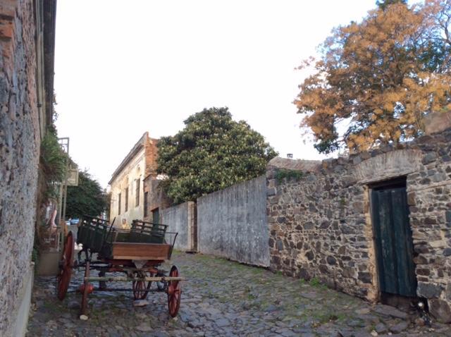 El Patio De Las Glicinas Colonia del Sacramento Bagian luar foto